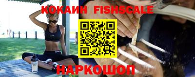 крисы Волгодонск