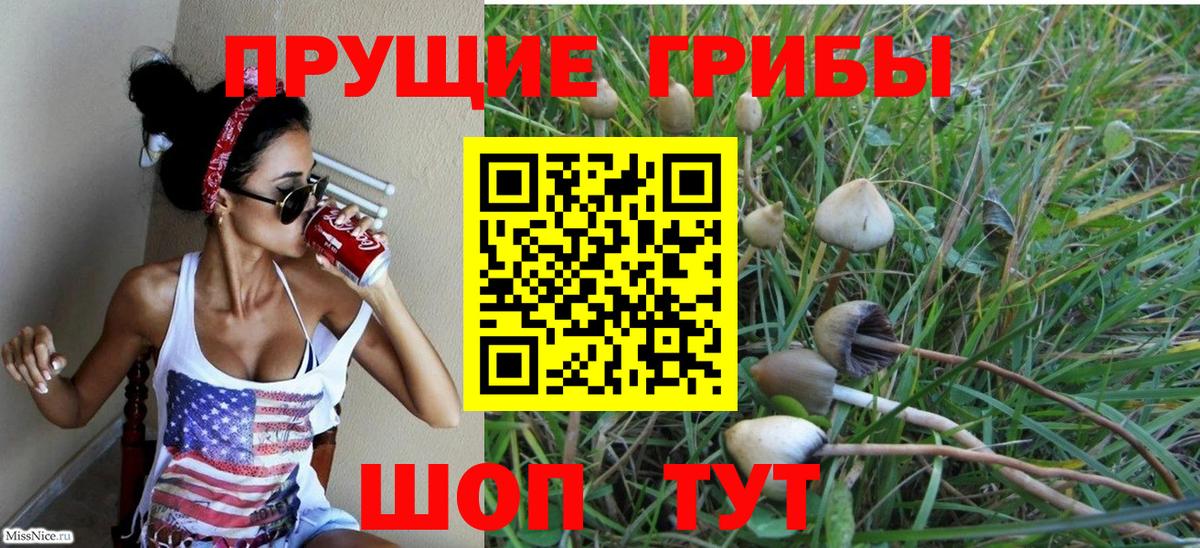 закладки  Галлюциногенные грибы MAGIC MUSHROOMS  Вход с VPN  Канаш 
