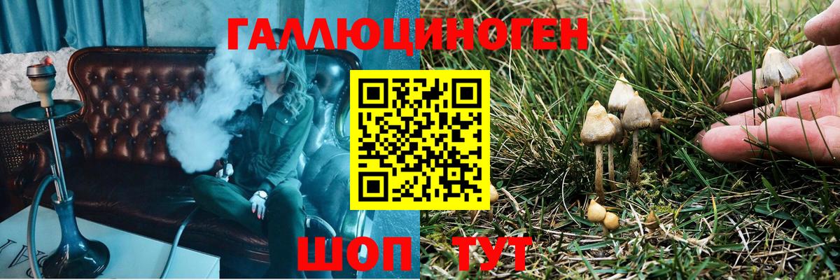 Псилоцибиновые грибы Cubensis Канаш