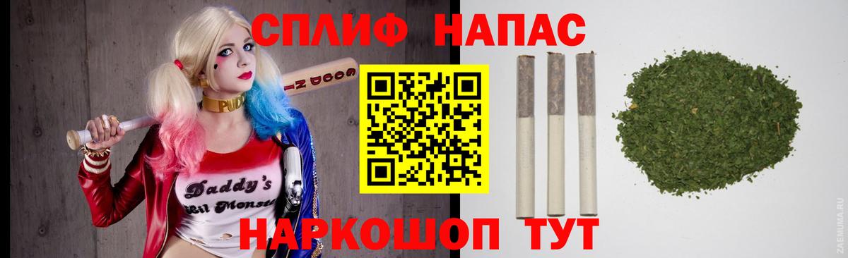 Канаш  Бошки Шишки ГИДРОПОН  Бошки Шишки MAZAR  Вход с VPN 